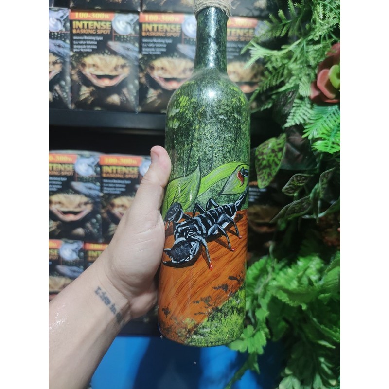 Garrafa Pandinus Imperator