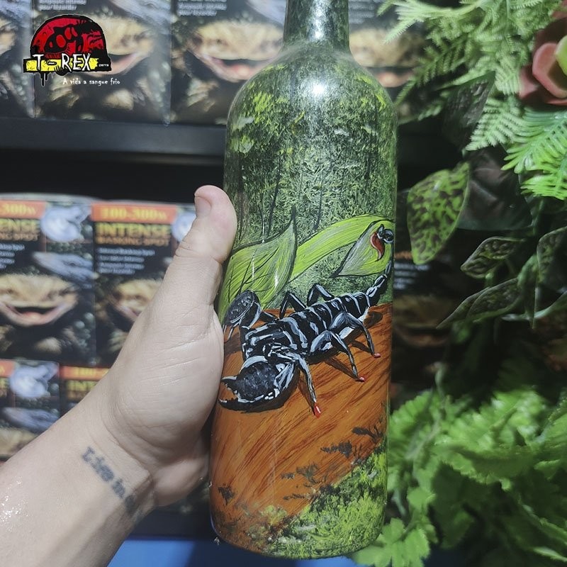 Garrafa - Pandinus Imperator