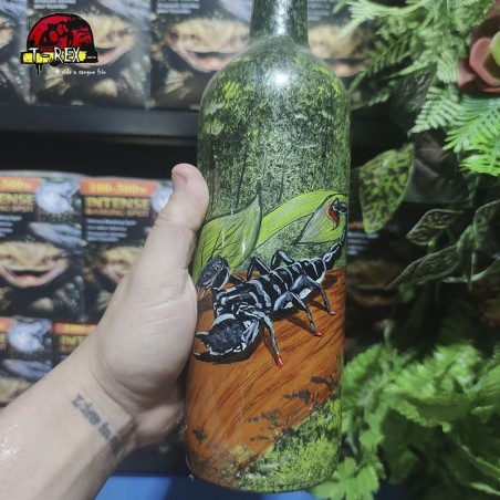 Garrafa - Pandinus Imperator