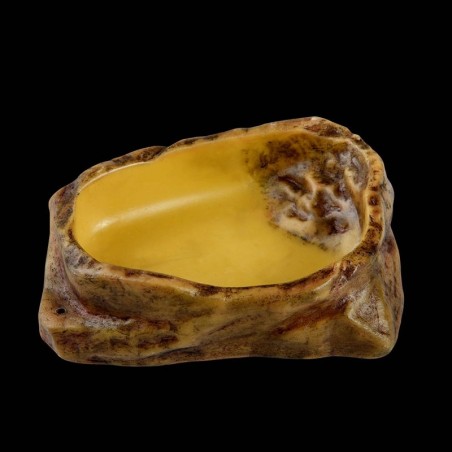 Bebedouro para répteis jabuti