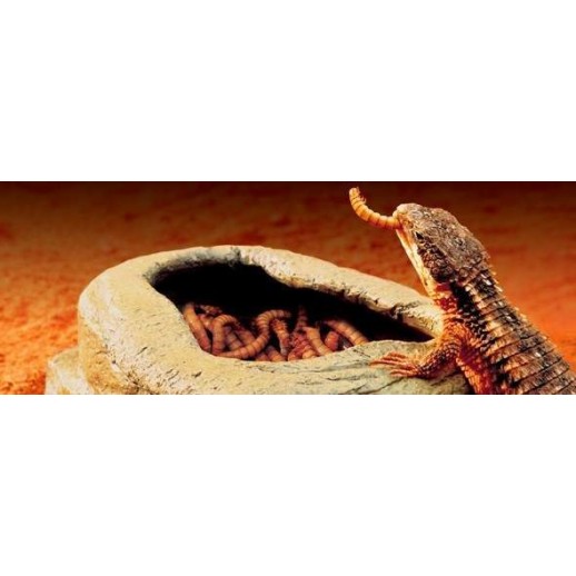 Boulder Corner Water Dish M