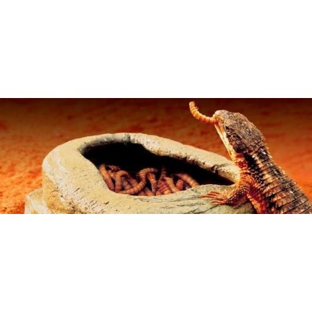 Boulder Corner Water Dish M