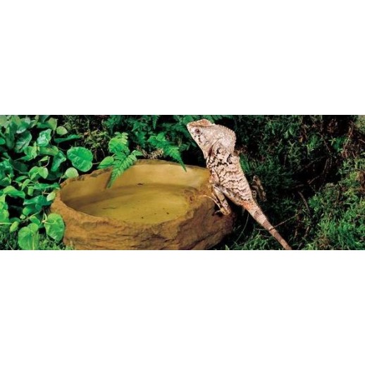 Kit Iguana Completo