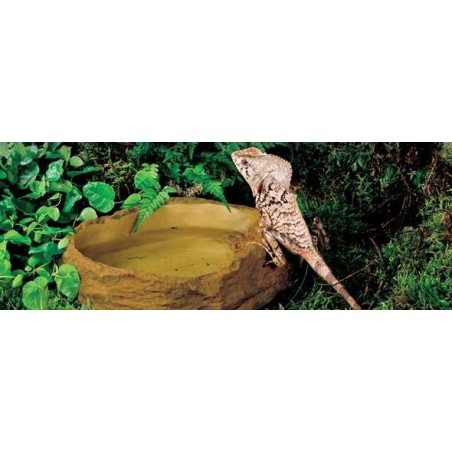 Kit Iguana Completo