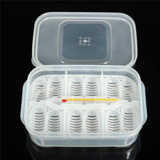 Bandeja de Incubação 12 ovos | Terrário