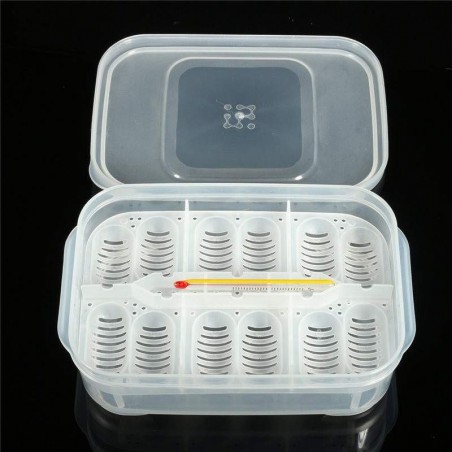 Bandeja de Incubação 12 ovos | Terrário