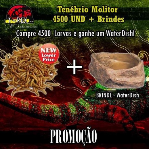 4500 Larvas Tenébrio Molitor