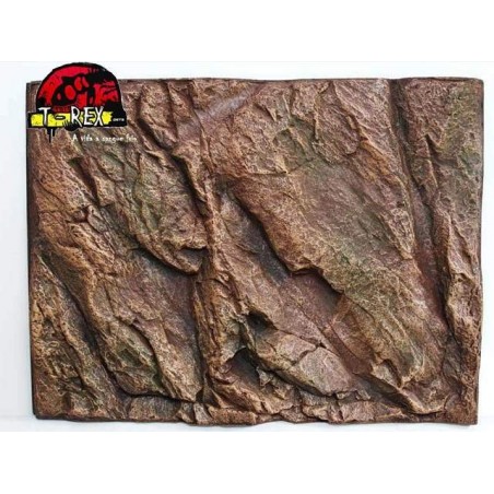 Background Rochoso 3d  Repteis | Iguana