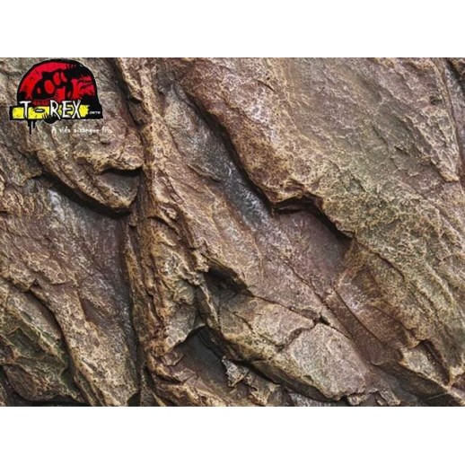 Background Rochoso 3d  Repteis | Iguana