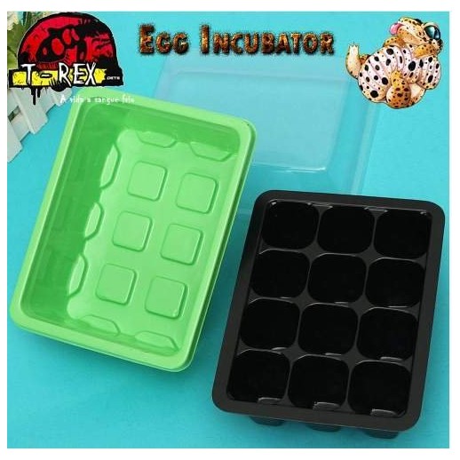Bandeja de Incubação G 12 ovos | Terrário