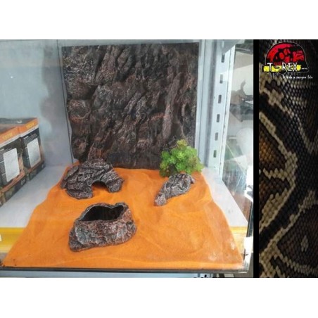 Terrário 02 | Gecko | Corn | Aranhas | Répteis 