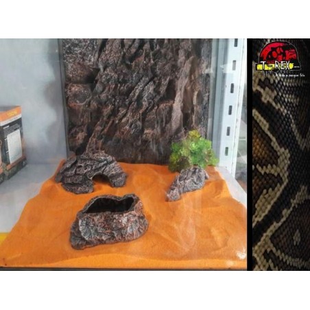 Terrário 02 | Gecko | Corn | Aranhas | Répteis 