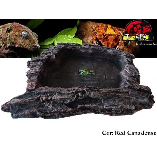 Hickory Hollow Water Bowl L Répteis | Terrário