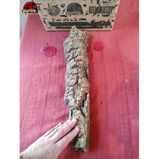 Tronco Natural Cork 02