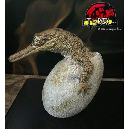Gavial - Crocodilo no Ovo - Réplica Répteis