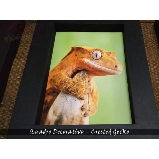 Quadro Herpetofauna