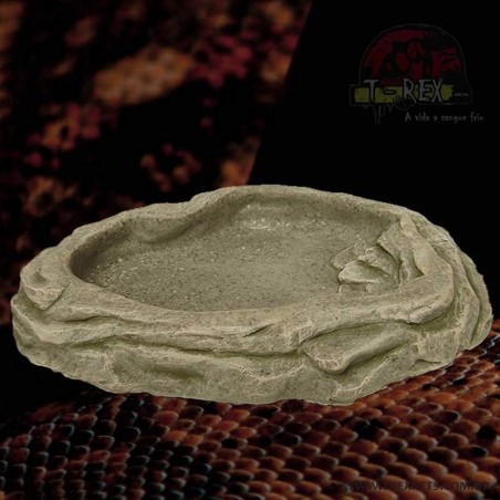 Bebedouro Lago para Pogona