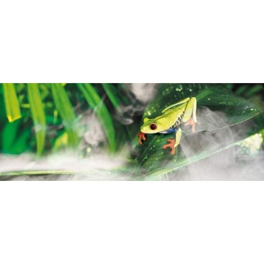 Umidificador para Repteis