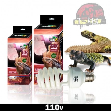 Lampada uvb para repteis