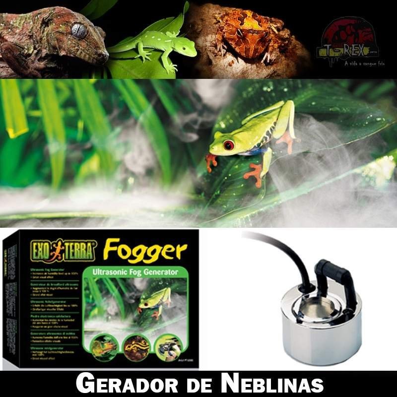 Umidificador Terrário