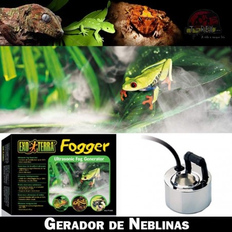 Umidificador Terrário