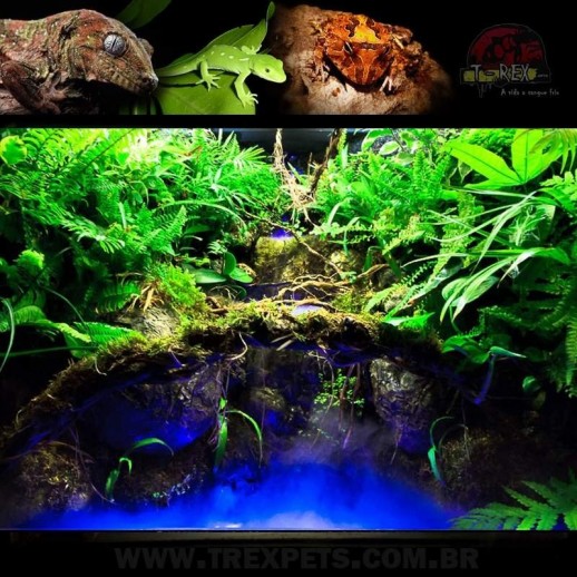 Produtos para Répteis