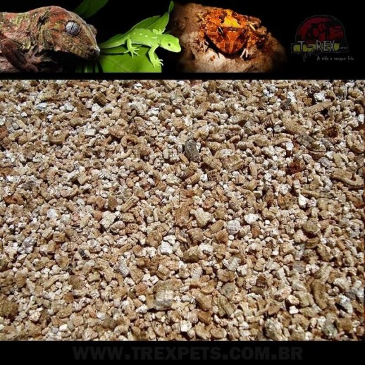 Vermiculita para Repteis