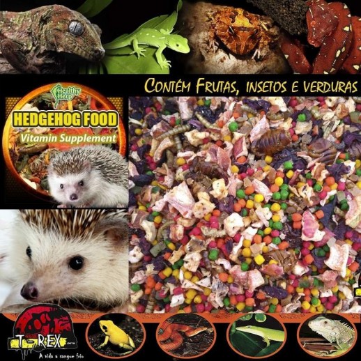 Ração para Hedgehog Porco Espinho