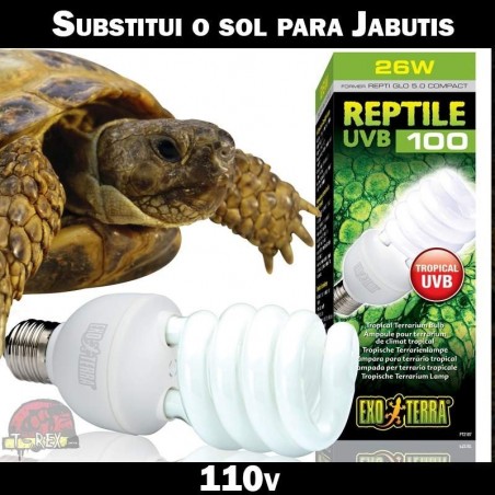 Lâmpada para Jabutis Terrário