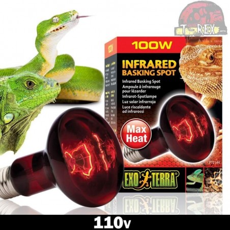 Lampada noturna aquecimento repteis