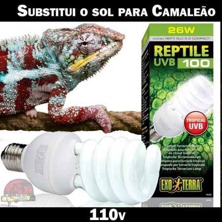 Lâmpada UVB Répteis
