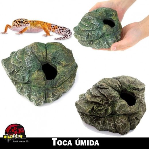 Toca para desova repteis