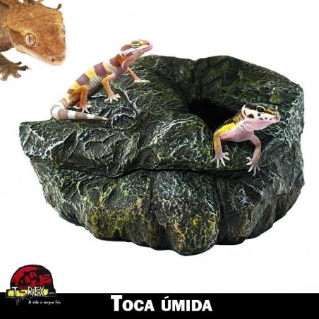Toca para Répteis
