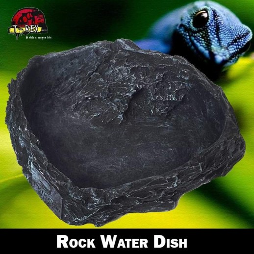 Bebedouro para Répteis