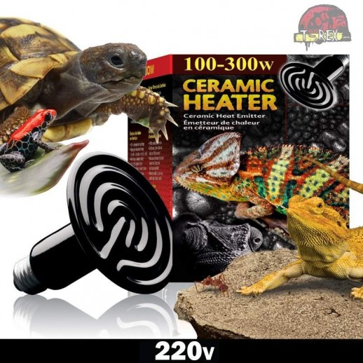 Lâmpada para Répteis