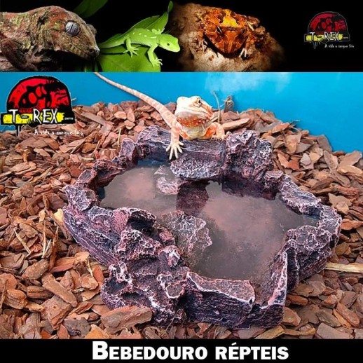 comedouro de repteis