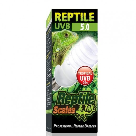 Lâmpada para Répteis Iguana...