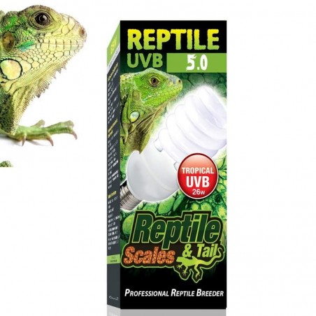lampada para terrario de iguana