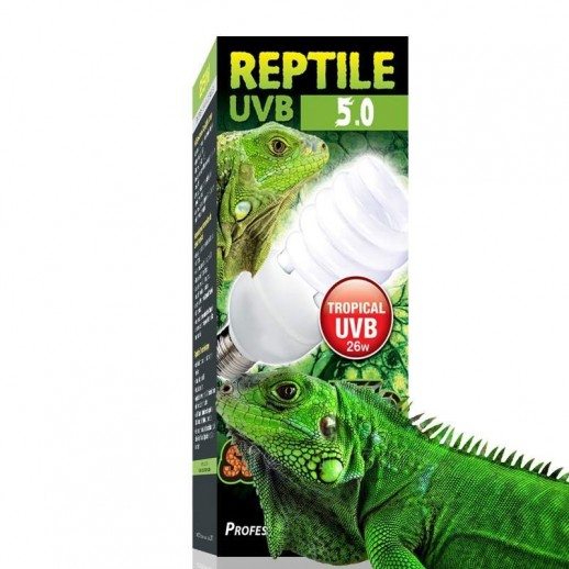 Lampadas para Iguanas