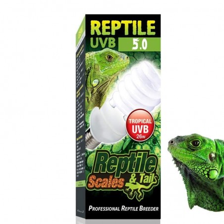 lampada terrario iguana