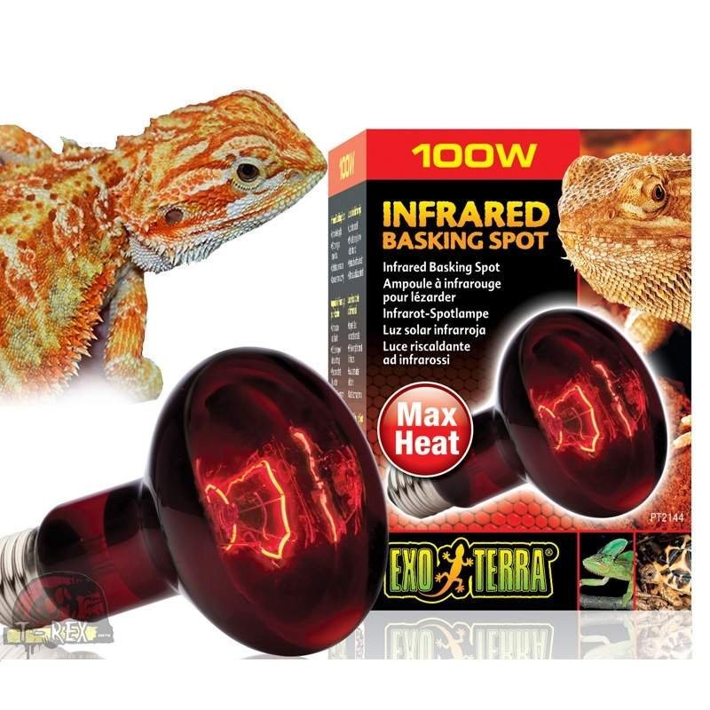 lampada de aquecimento para repteis