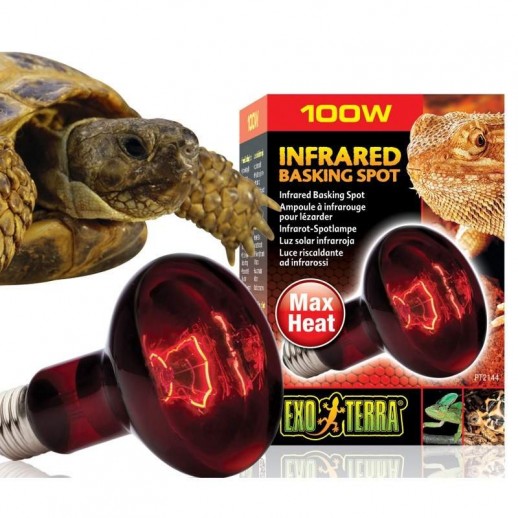 Lampada de Aquecimento para Jabutis