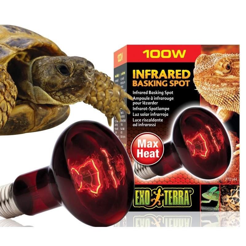 Lampada de Aquecimento para Jabutis