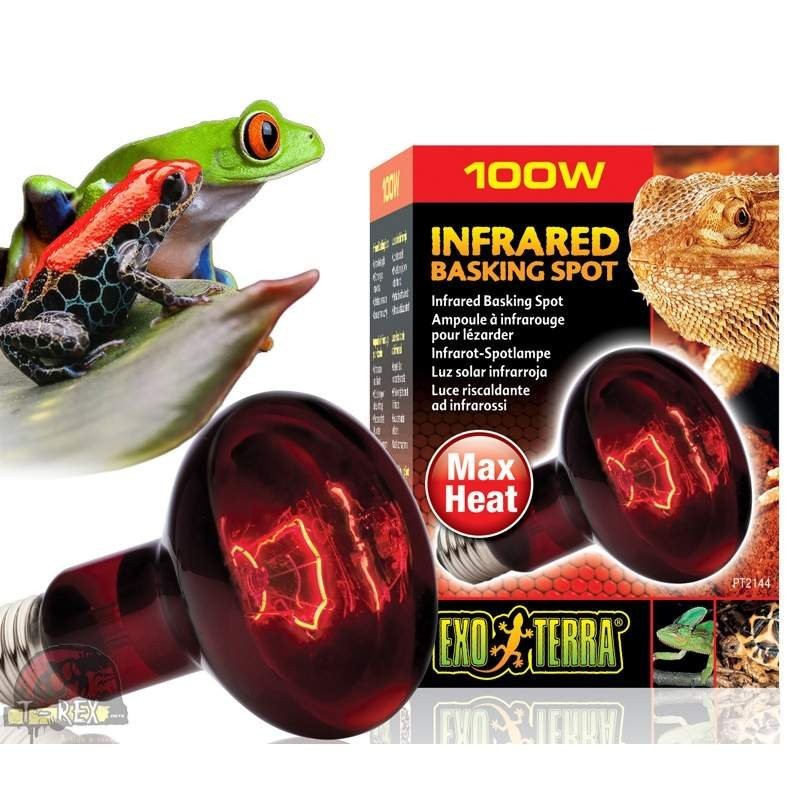 lampada para aquecer terrario