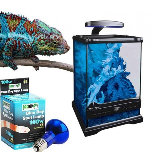 lampada uva para repteis