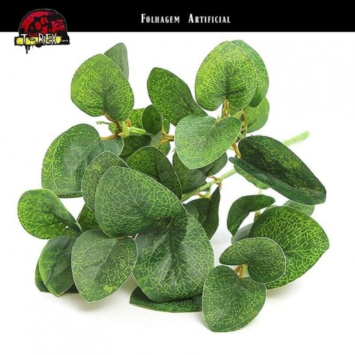 planta para terrário exoterra