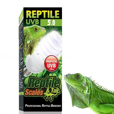 Lâmpada UVB para Iguanas