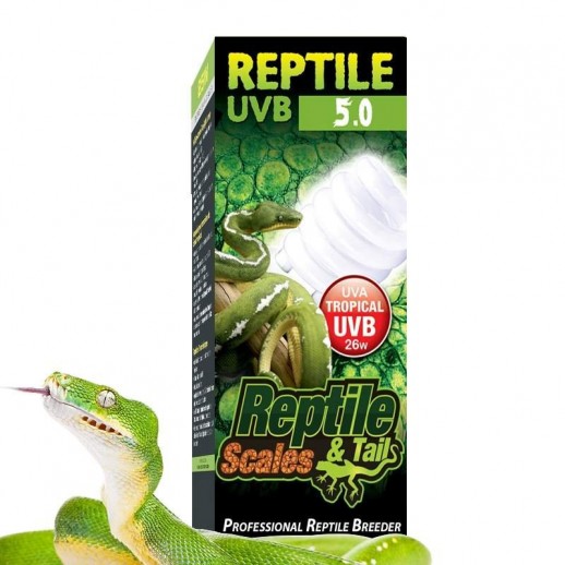 Lâmpada para Cobras