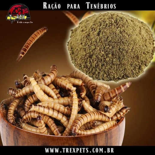 ração para tenébrios alimento vivo