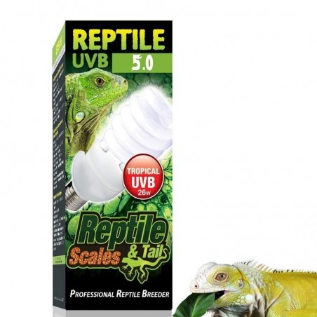 Lâmpada para Terrário de Iguana